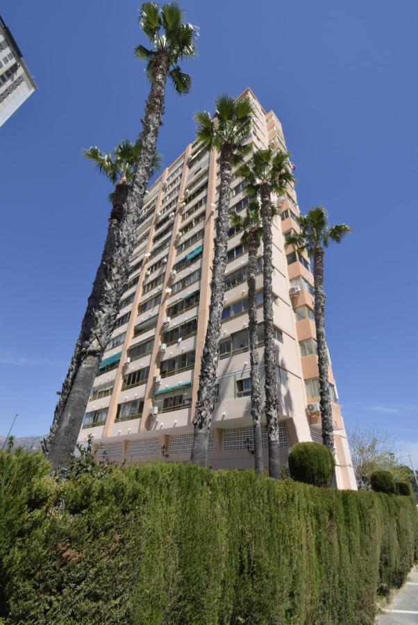 Mariscal 6 - Fincas Arena Benidorm Dış mekan fotoğraf